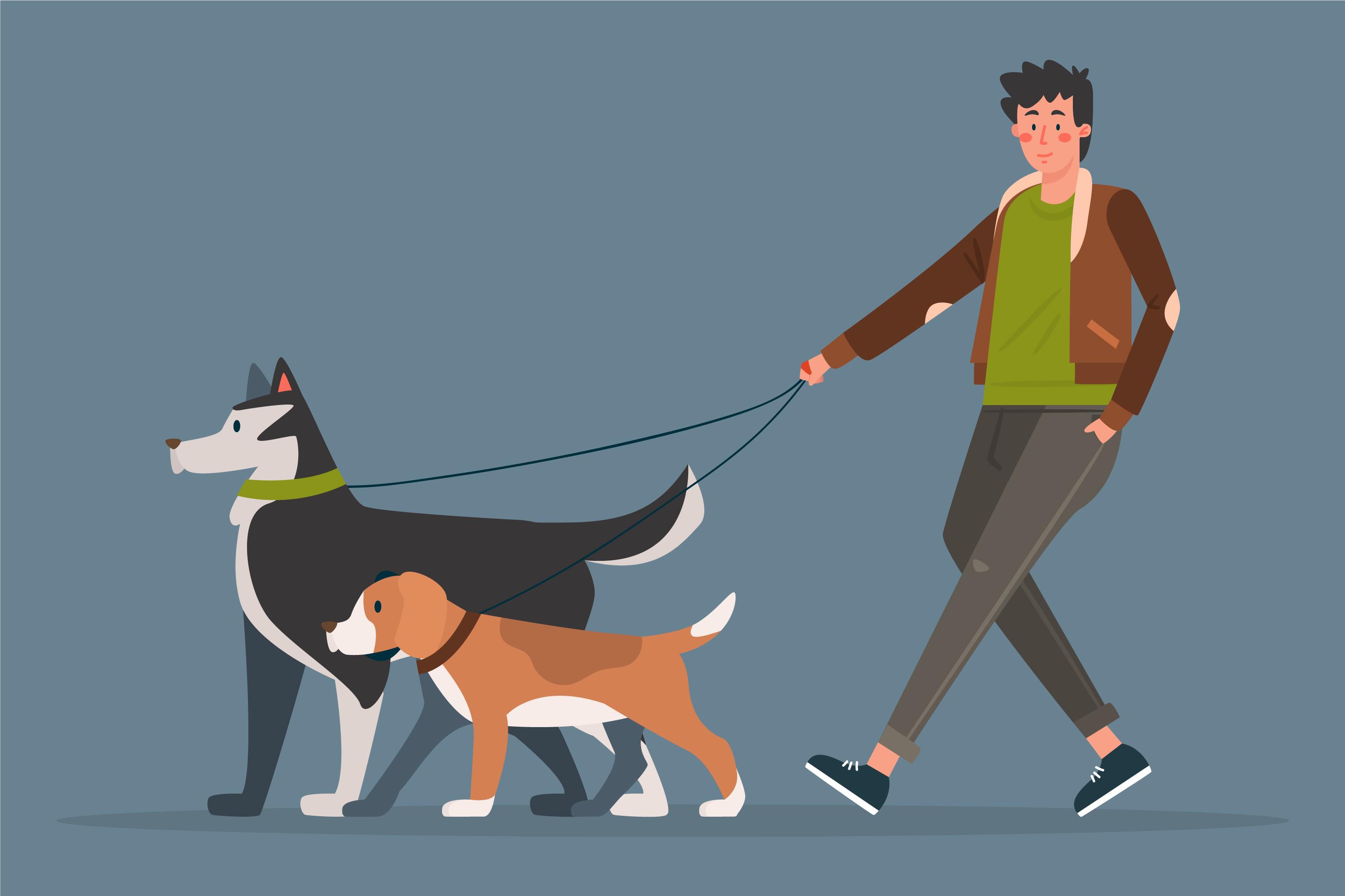 dog-walker-pet-sitter-passeando-cachorro-cuidado-pet-1-1